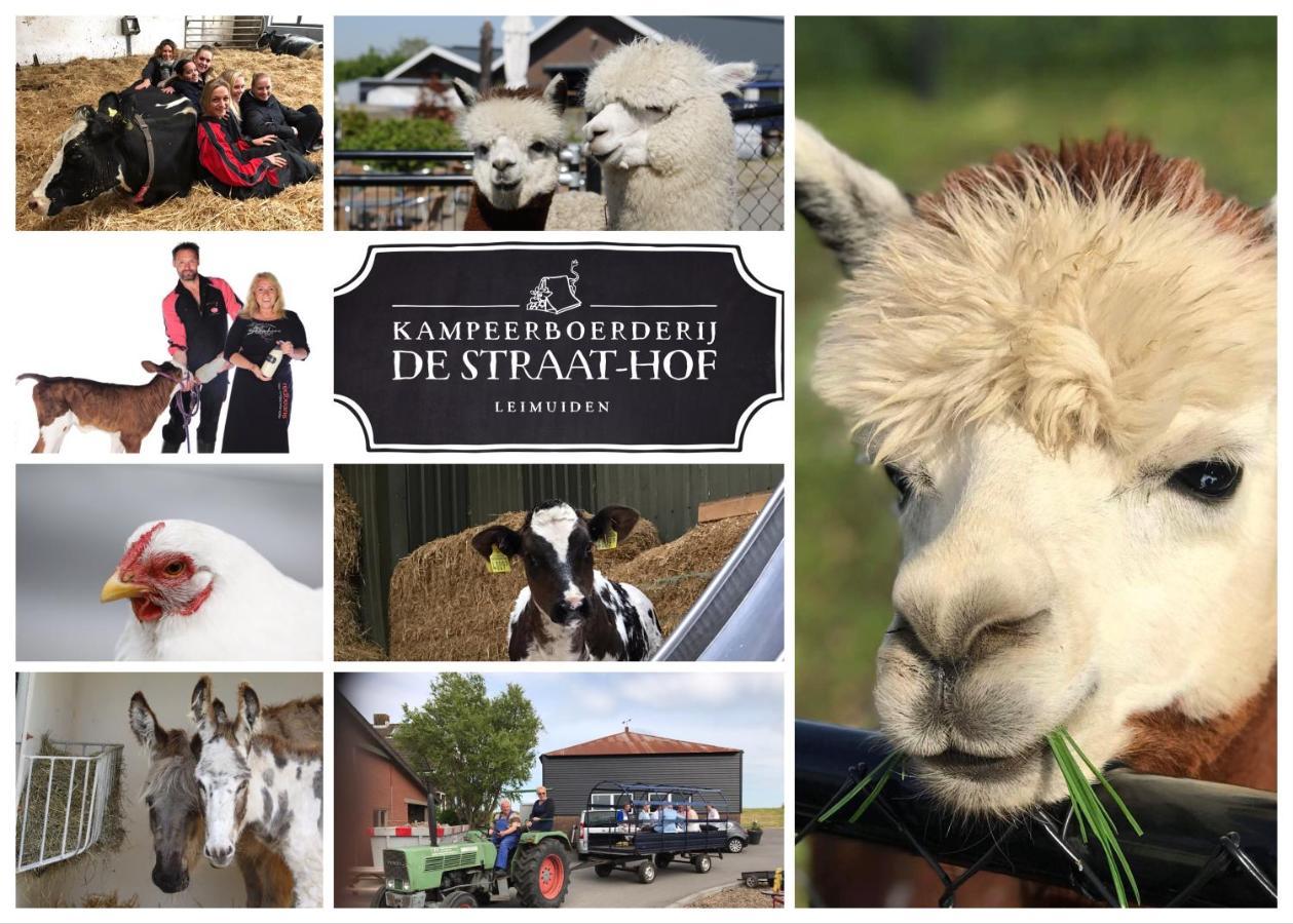 לינה וארוחת בוקר Leimuiden Herberg Boerderij De Straat-Hof מראה חיצוני תמונה