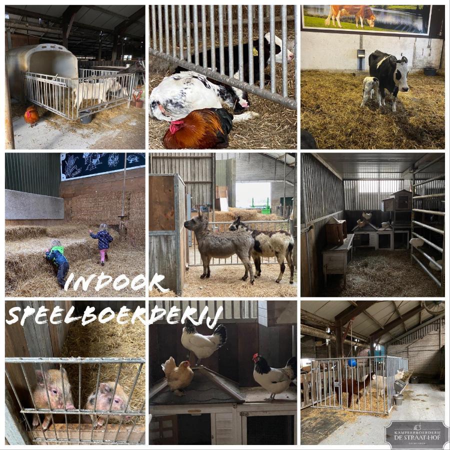 לינה וארוחת בוקר Leimuiden Herberg Boerderij De Straat-Hof מראה חיצוני תמונה